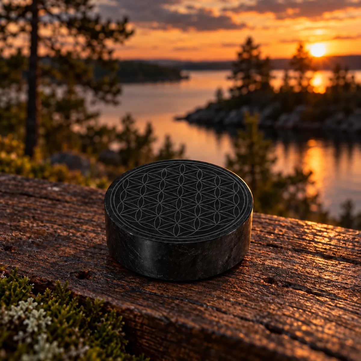 Disco per frigorifero con Fiore della Vita in shungite, in un ambiente naturale