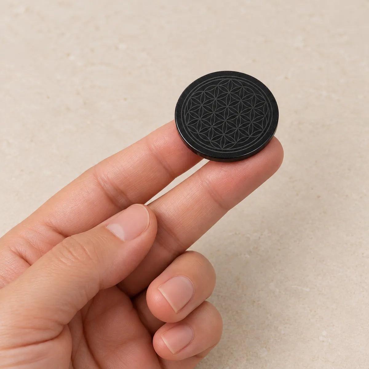 Disco circolare lucidato in shungite, tenuto in mano